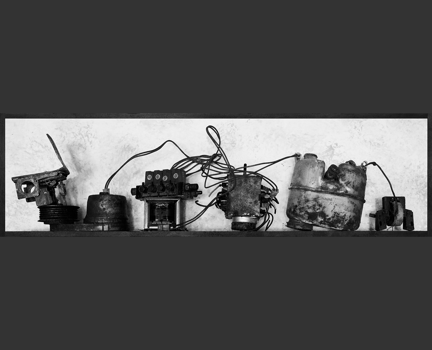 The Morphology of Experience from THE Celestial Emporium of Benevolent Knowledge , Paul Lowry